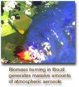Smoke from biomass burning in Brazil